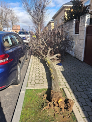El Ayuntamiento de Cabanillas alerta sobre los riesgos del fuerte viento y cierra parques para evitar accidentes