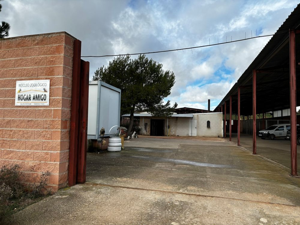 Hogar Amigo en Vega del Henares logra 90 reencuentros y 22 adopciones de perros en 2025