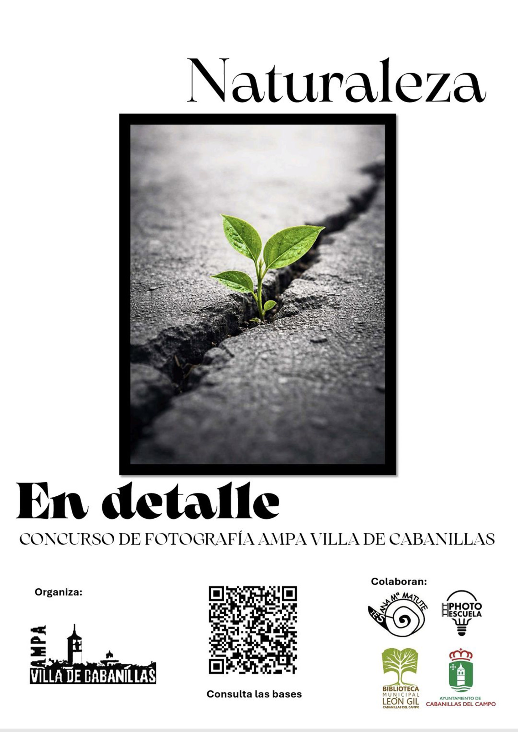 Convocado el 5º Concurso Fotográfico del AMPA del IES Ana María Matute en Cabanillas del Campo