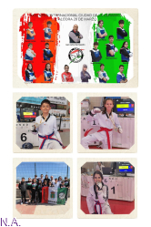 El Club Taekwondo Cabanillas brilla con siete medallas en el Open Internacional de la Cerámica