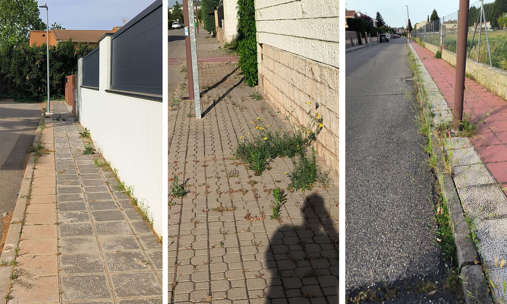 Cabanillas exige limpieza inmediata para eliminar las malas hierbas de sus calles