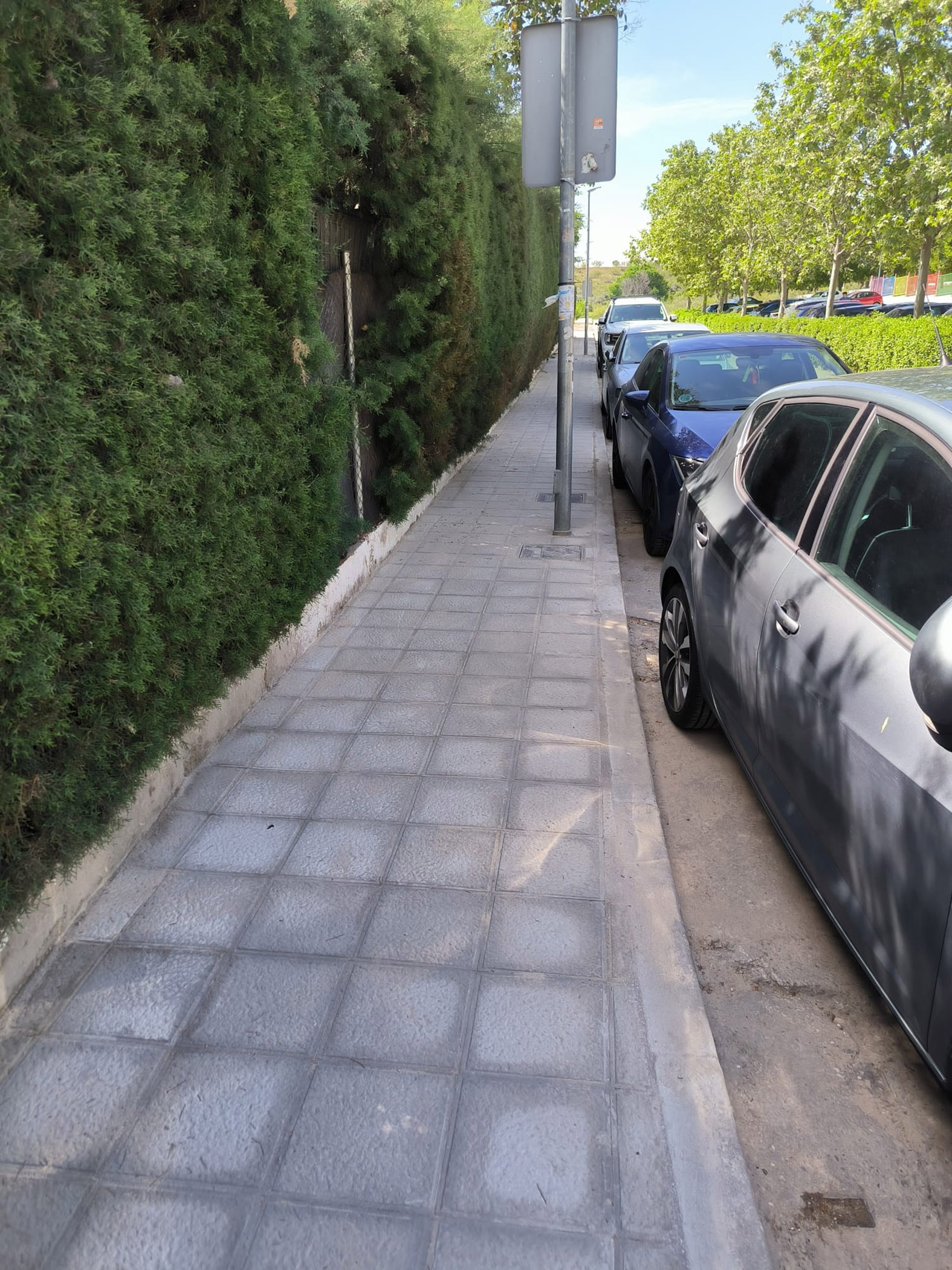 El Ayuntamiento de Cabanillas del Campo renueva el acerado de acceso al Centro Fitness Municipal