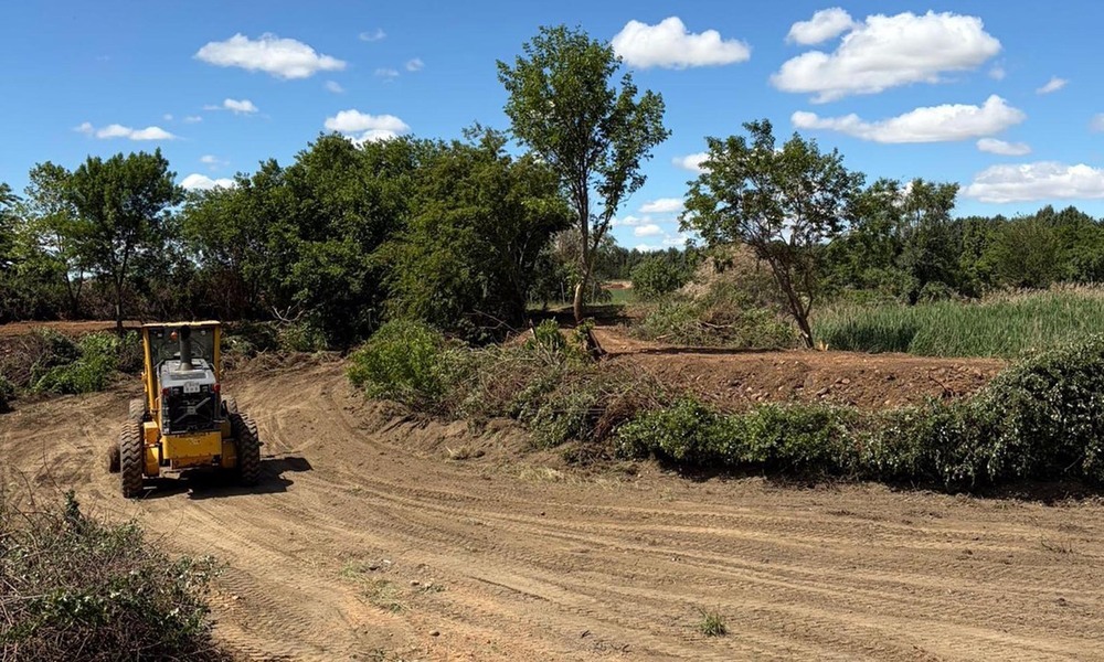 Cabanillas del Campo inicia la limpieza de cunetas y caminos rurales para controlar la proliferación de conejos