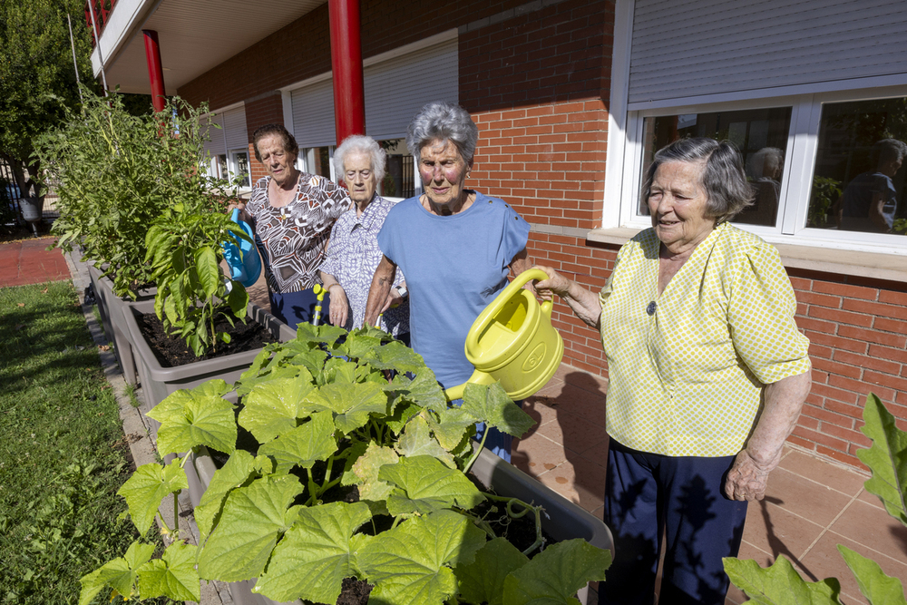 El huerto terapéutico del Centro de Mayores de Cabanillas del Campo fortalece el bienestar de sus usuarios