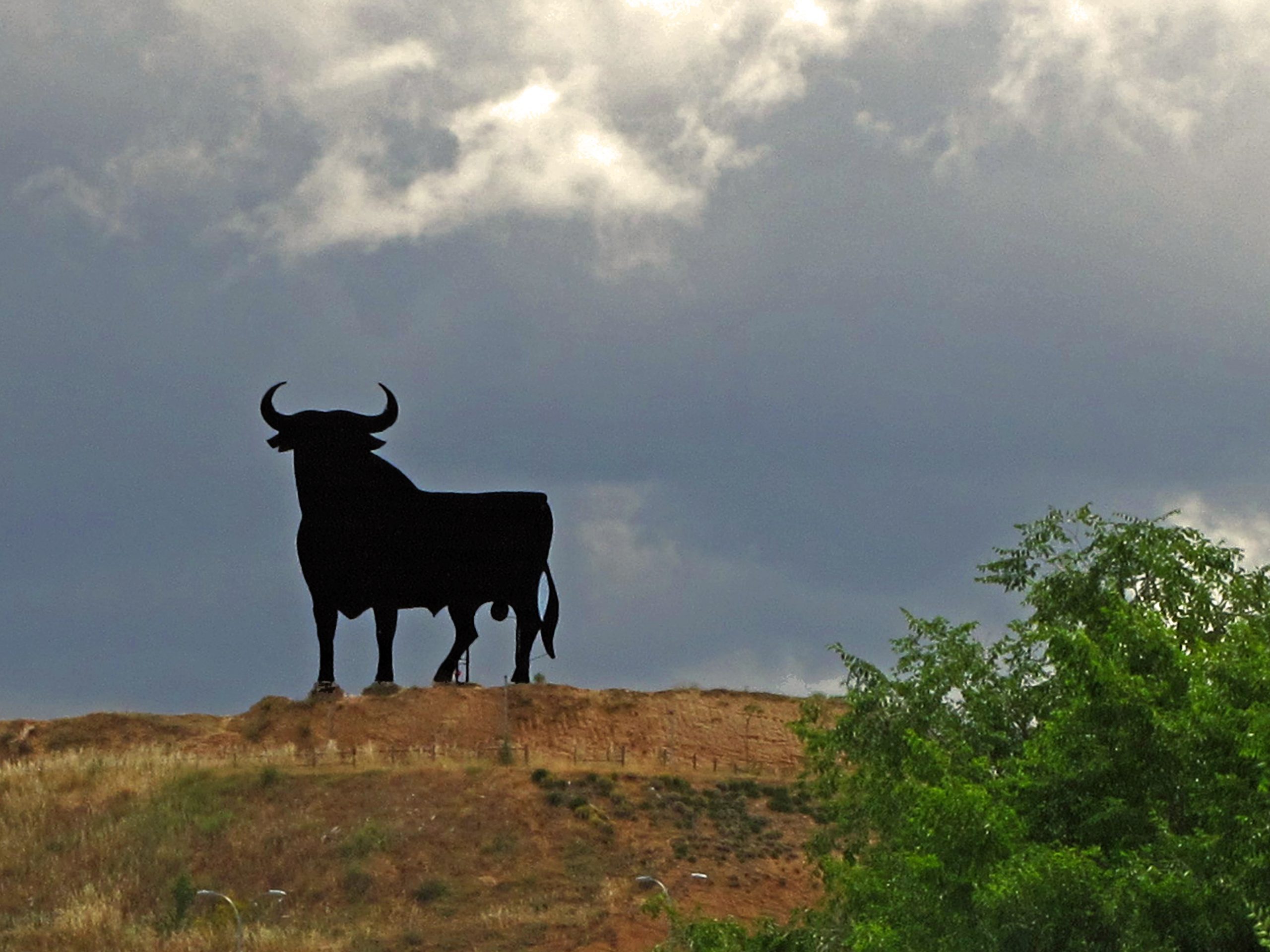 Cabanillas del Campo se suma al intenso calendario taurino de Guadalajara este julio